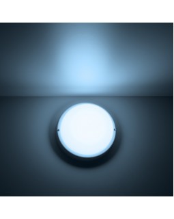 Пылевлагозащищенный светильник Gauss 126411312