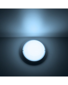 Пылевлагозащищенный светильник Gauss 126411312