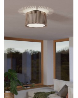 Накладной светильник EGLO 900901-foto2