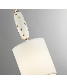 Подвесной светильник Odeon Light 5423/1-foto2