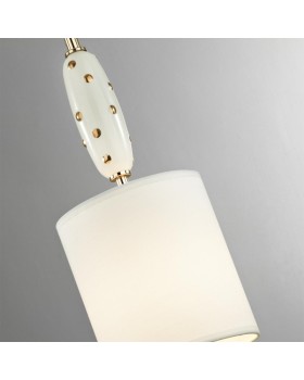 Подвесной светильник Odeon Light 5423/1-foto2