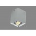 Накладной светильник Crystal Lux CLT 420C AL