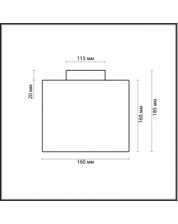 Накладной светильник Odeon Light 2407/1C-foto2