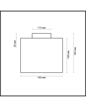 Накладной светильник Odeon Light 2407/1C-foto2