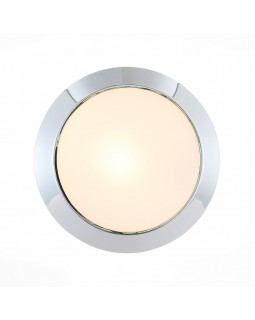 Накладной светильник ST-Luce SL469.502.01-foto2
