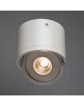 Накладной светильник ARTE Lamp A4105PL-1WH-foto2