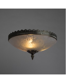 Накладной светильник ARTE Lamp A4541PL-3AB-foto2