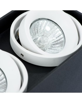 Накладной светильник ARTE Lamp A5655PL-2BK-foto3