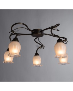 Накладная люстра ARTE Lamp A7449PL-5BR-foto2