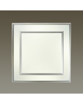 Накладной светильник Odeon Light 4625/48CL-foto2