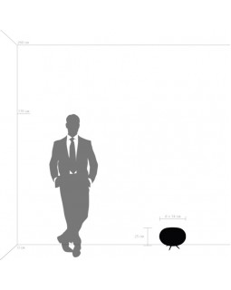 Настольная лампа Lightstar 805913-foto2