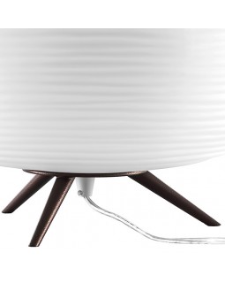 Настольная лампа Lightstar 805913-foto3