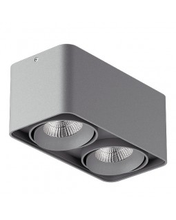 Накладной светильник Lightstar 212529-foto2