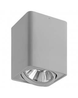 Накладной светильник Lightstar 212639-foto2