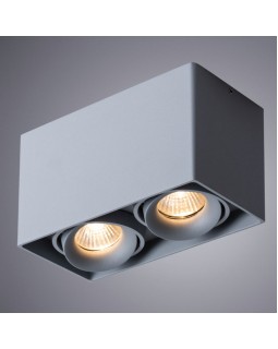 Накладной светильник ARTE Lamp A5654PL-2GY-foto2