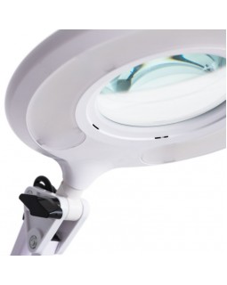 Настольная лампа ARTE Lamp A2013LT-1WH-foto3