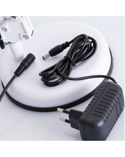 Настольная лампа ARTE Lamp A2013LT-1WH-foto4