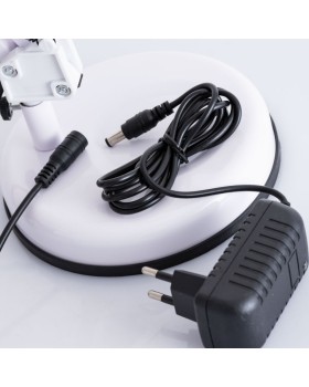 Настольная лампа ARTE Lamp A2013LT-1WH-foto4