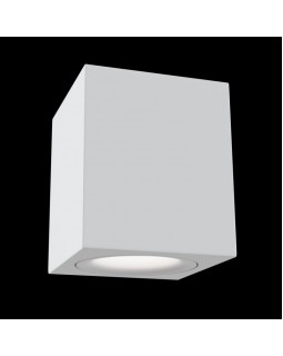 Накладной светильник Maytoni Technical C013CL-01W-foto2