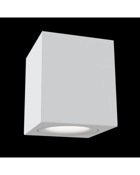 Накладной светильник Maytoni Technical C013CL-01W-foto2