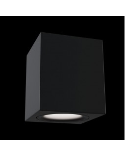 Накладной светильник Maytoni Technical C013CL-01B-foto2