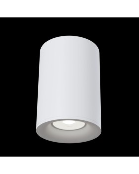 Накладной светильник Maytoni Technical C012CL-01W-foto2