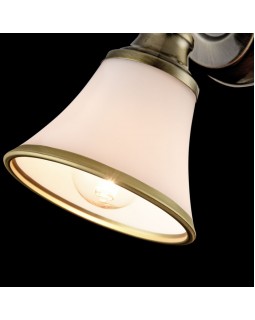 Спот Freya FR2272-WL-01-BS-foto5