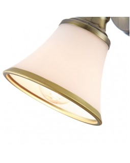 Спот Freya FR2272-WL-01-BS-foto8
