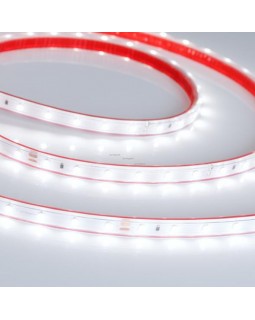 Лента Arlight 024562-foto2