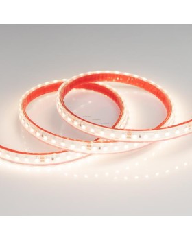 Лента Arlight 021462-foto2