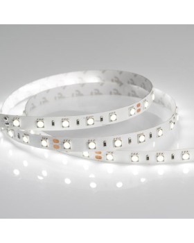 Лента Arlight 021423(1)-foto2