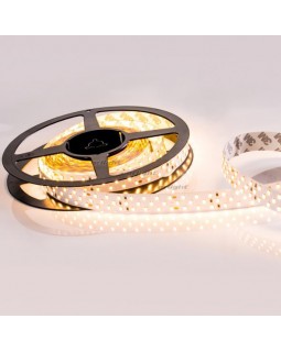 Лента Arlight 019927(B)-foto2