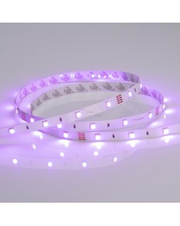 Лента Arlight 022066(1)-foto2