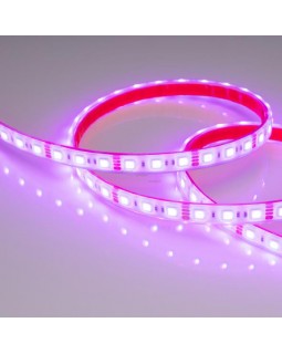 Лента Arlight 013401-foto2