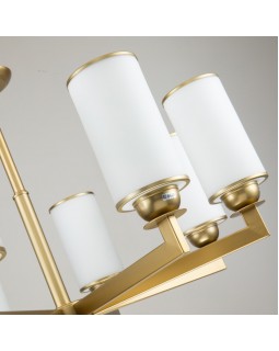 Подвесная люстра Favourite 2621-8P-foto3