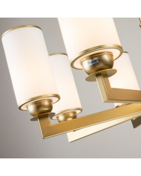 Подвесная люстра Favourite 2621-8P-foto6