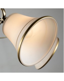 Люстра на штанге ARTE Lamp A2709PL-5AB-foto4