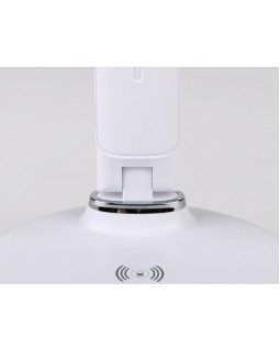 Настольная лампа Ambrella Light DE520-foto2