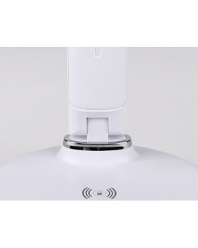 Настольная лампа Ambrella Light DE520-foto2