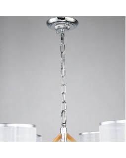 Подвесная люстра Favourite 2705-6P-foto4