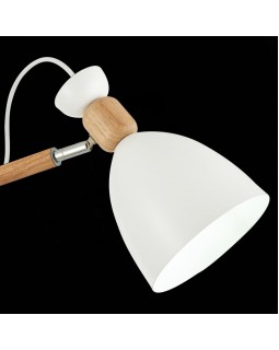 Люстра на штанге Evoluce SLE103802-03-foto6