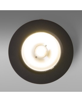 Накладной светильник Elektrostandard DLS030 10W 4200K черный-foto3