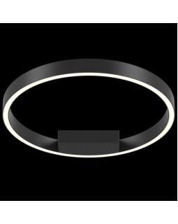 Накладной светильник Maytoni MOD058CL-L25B4K-foto2