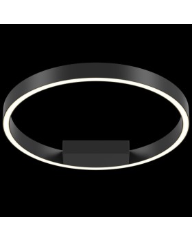 Накладной светильник Maytoni MOD058CL-L25B4K-foto2