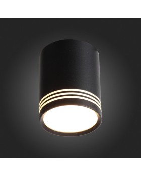 Накладной светильник ST-Luce ST101.442.12-foto3