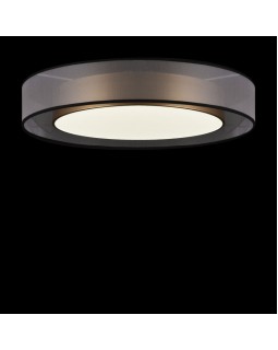 Накладной светильник Freya FR6005CL-L48G-foto2