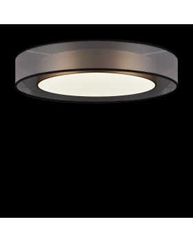 Накладной светильник Freya FR6005CL-L48G-foto2