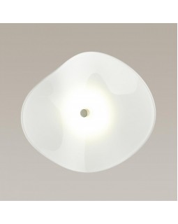 Бра Odeon Light 4856/5WL-foto4