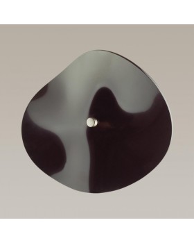 Бра Odeon Light 4859/5WL-foto4