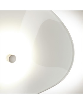 Бра Odeon Light 4856/5WL-foto5